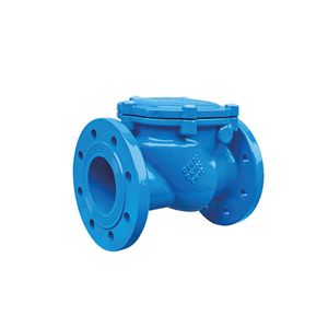 ���胶瓣止回阀H44X